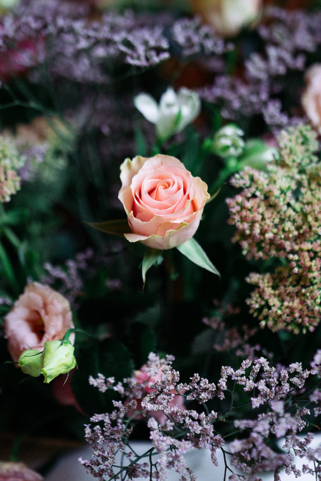 Simona e Claudio-riccardo pontiggia - 4