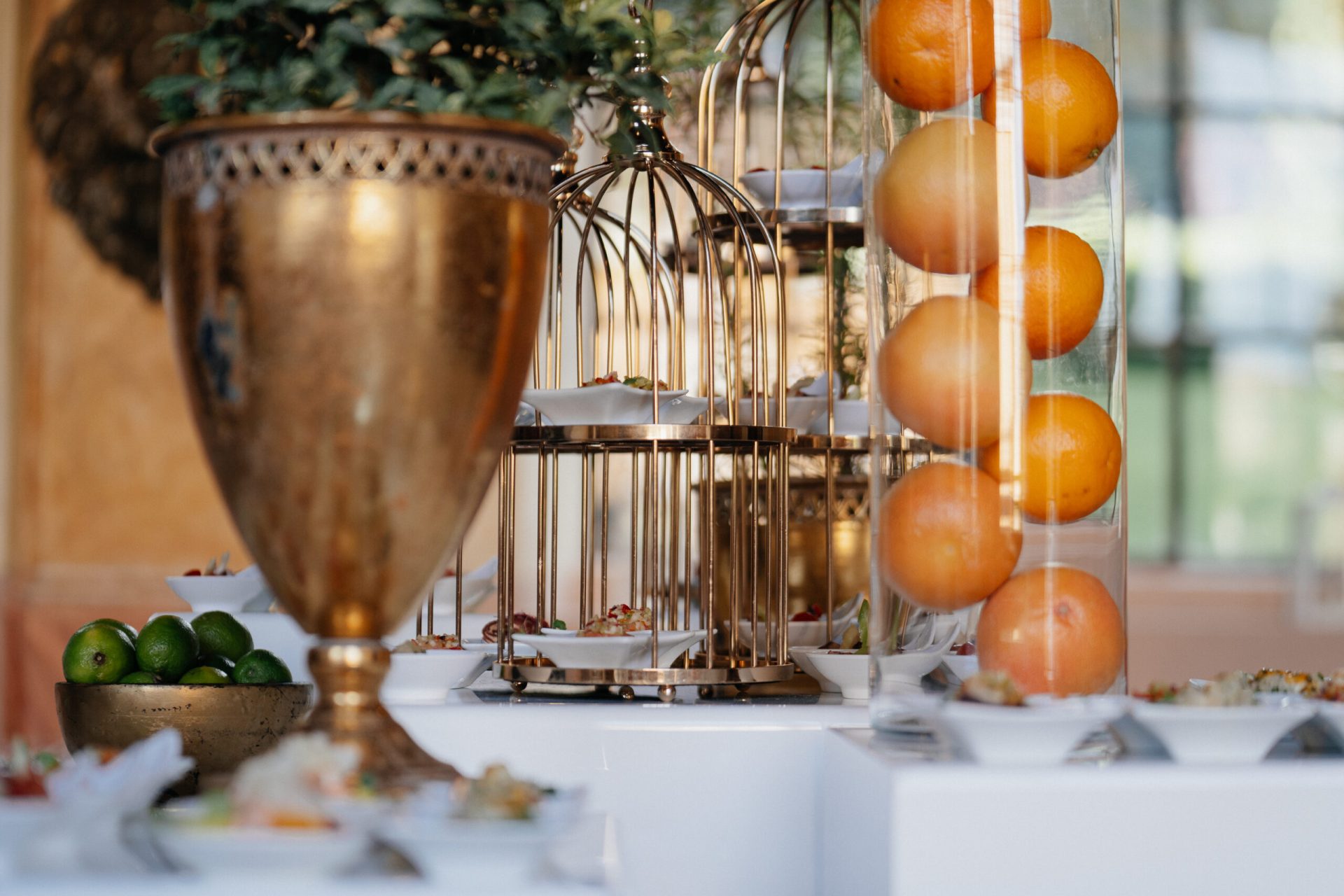 WP_L_M-riccardo pontiggia- 114